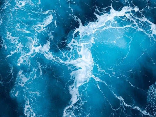 Recharge Your Body and Mind: Experience the Benefits of Pappi’s Sea Moss Capsules for Fatigue