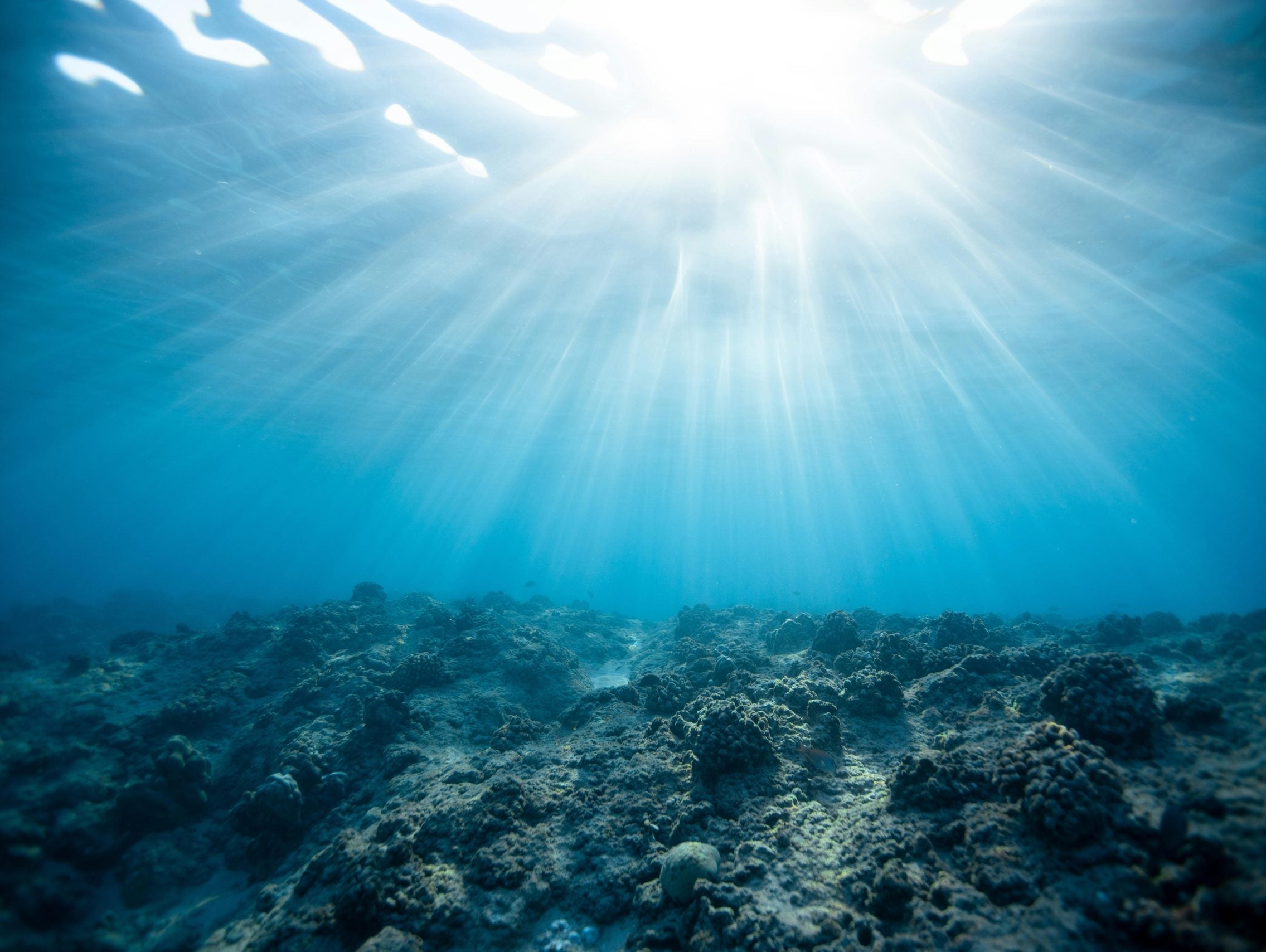 Finding Freedom from Joint Pain: The Power of Pappi’s Sea Moss Gel for Arthritis Relief