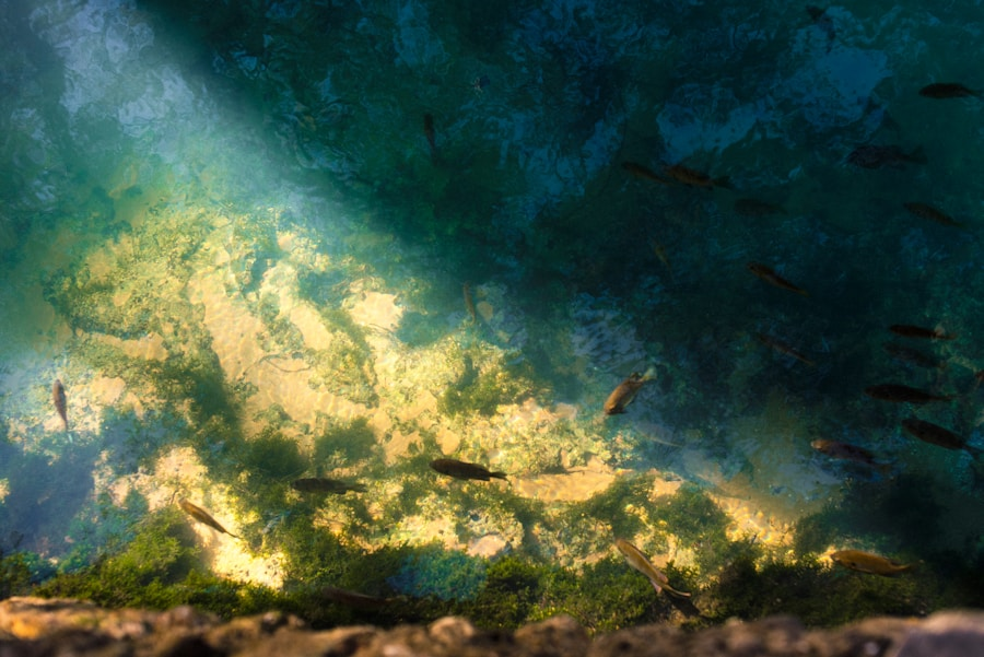 Rejuvenate Your Mane: How Pappi’s Organic Sea Moss Can Transform Your Hair