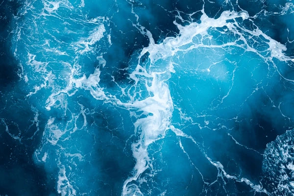 Recharge Your Body and Mind: Experience the Benefits of Pappi’s Sea Moss Capsules for Fatigue