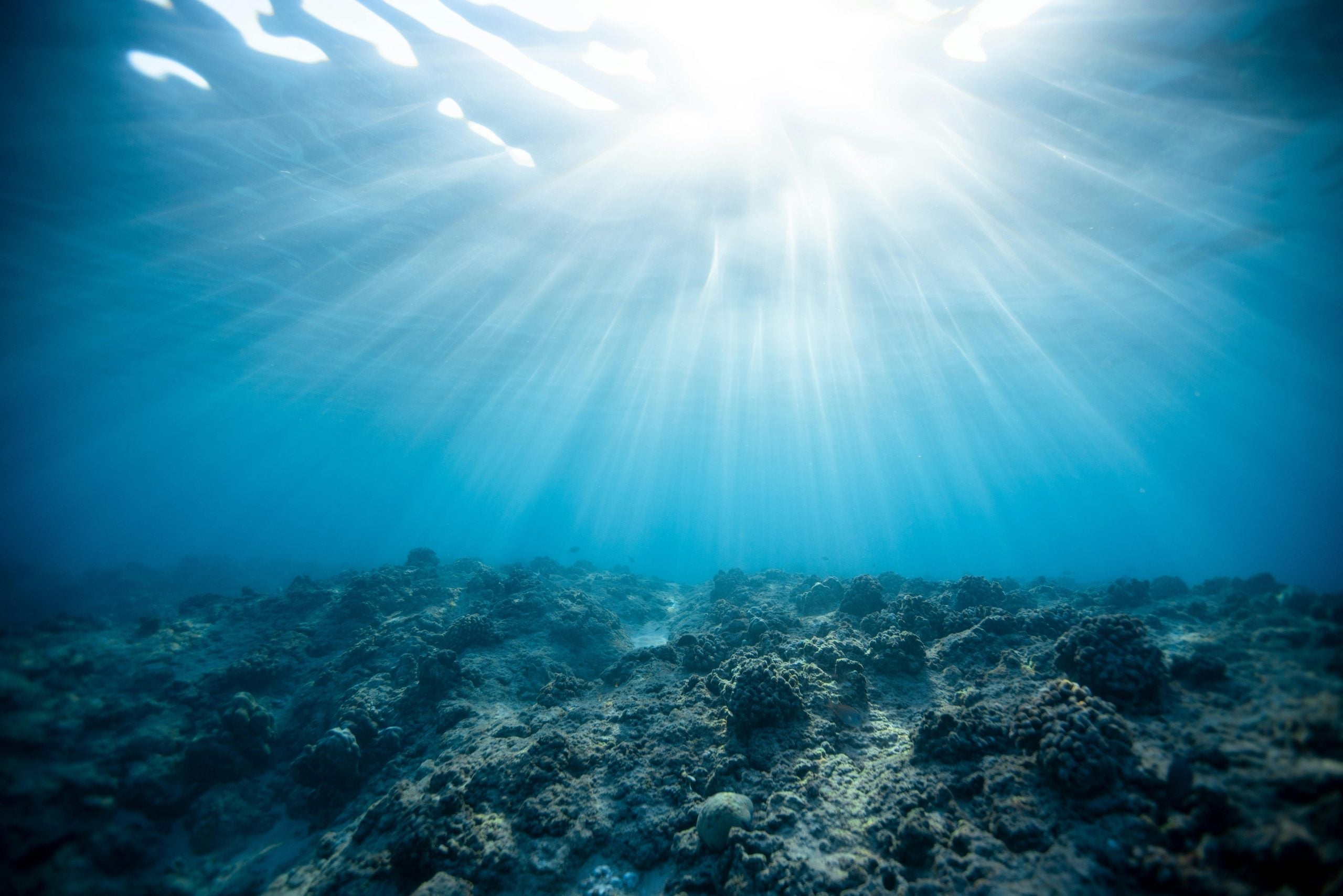 Finding Freedom from Joint Pain: The Power of Pappi’s Sea Moss Gel for Arthritis Relief